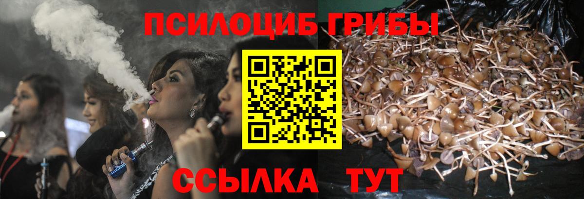 Псилоцибиновые грибы мухоморы  Галлюциногенные грибы Psilocybe  Старая Русса  Вход с VPN 