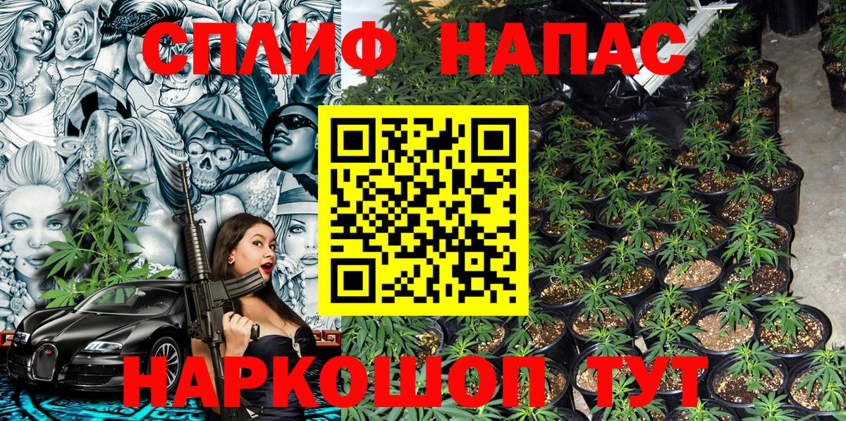 Бошки Шишки MAZAR  МАРИХУАНА ГИДРОПОН  Старая Русса  Шишки марихуана AK-47  Шишки марихуана THC 21%  Вход с VPN 